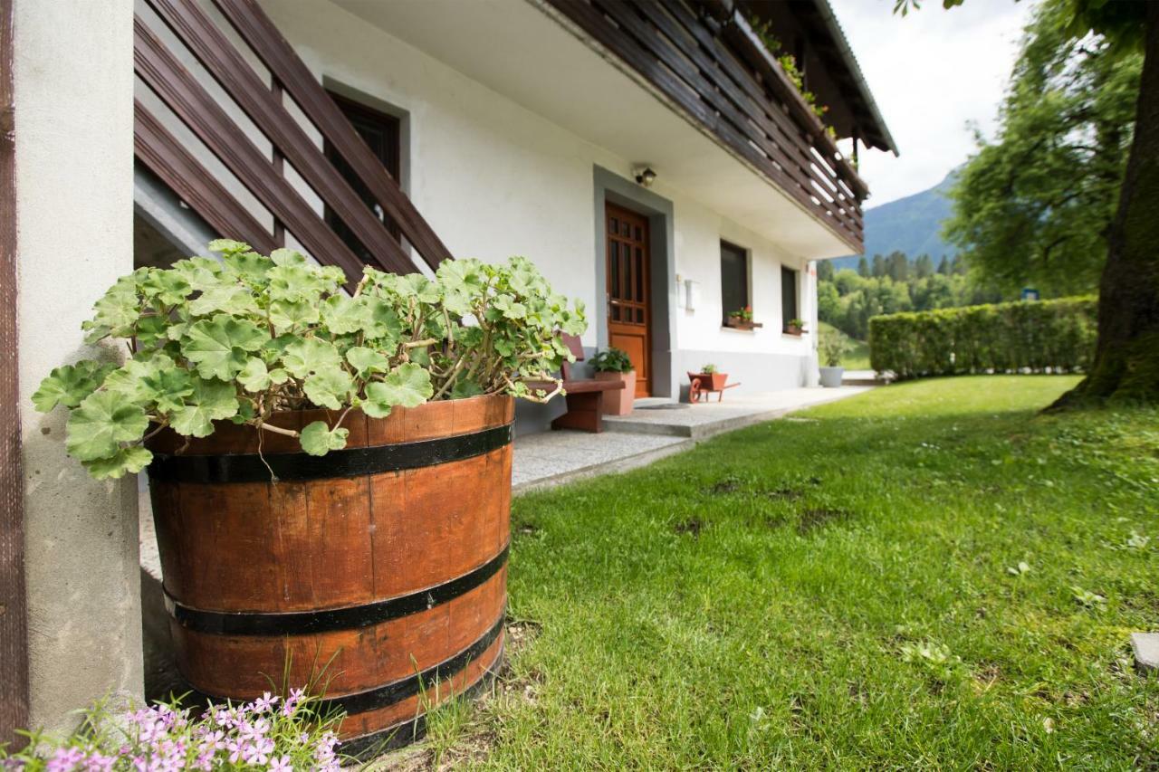 Apartma Pr Gatej Bohinj Buitenkant foto