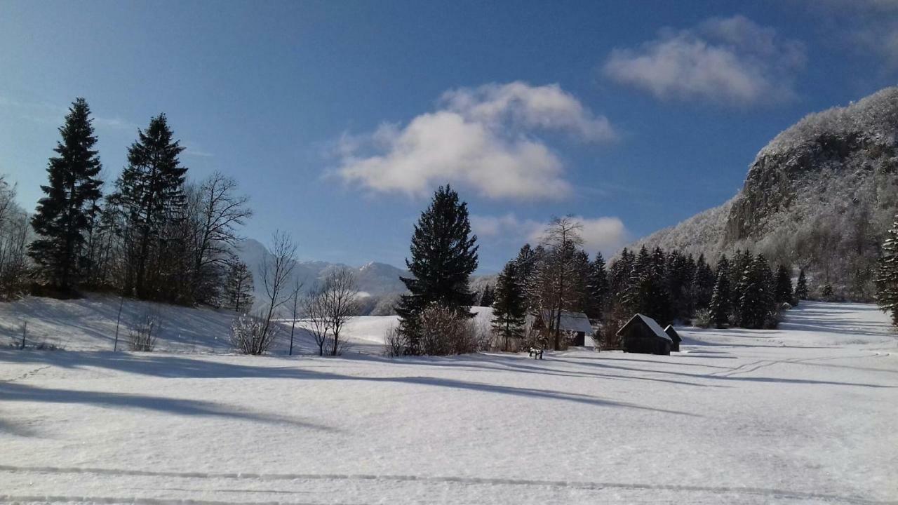 Apartma Pr Gatej Bohinj Buitenkant foto