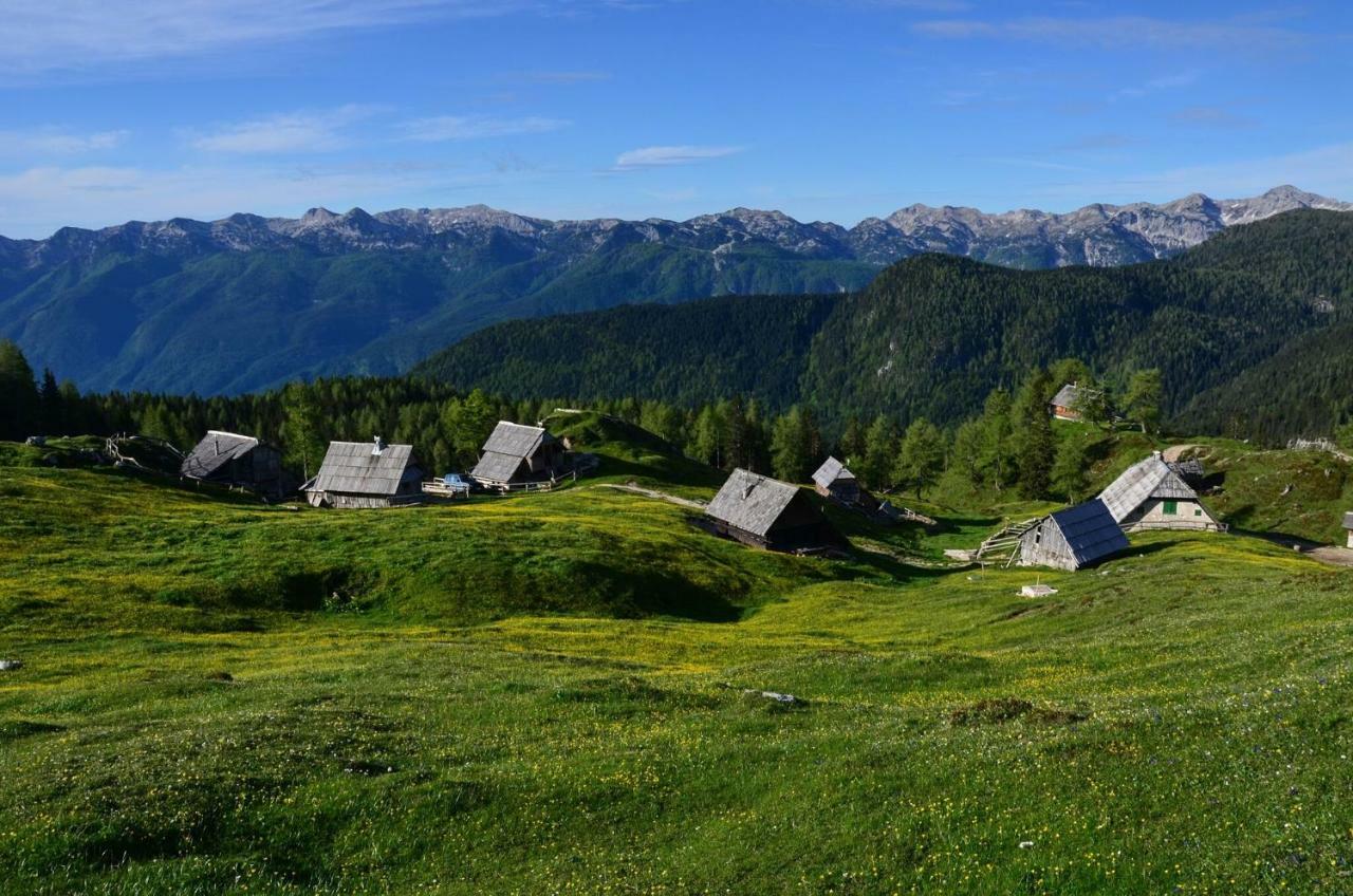 Apartma Pr Gatej Bohinj Buitenkant foto