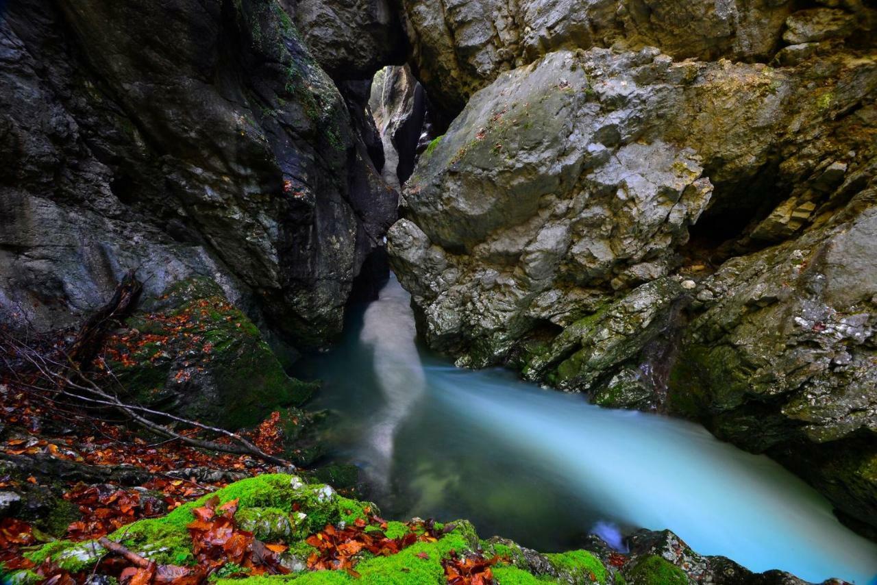 Apartma Pr Gatej Bohinj Buitenkant foto