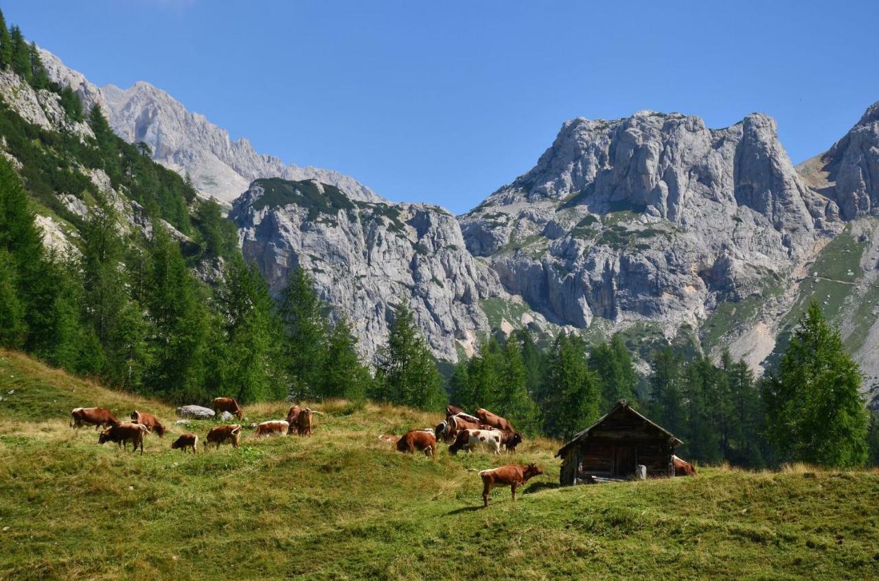 Apartma Pr Gatej Appartement Bohinj Buitenkant foto